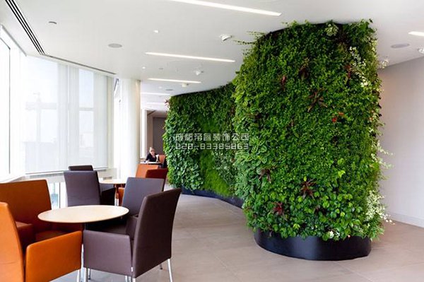 辦公室裝修完以后擺放什么綠植好？